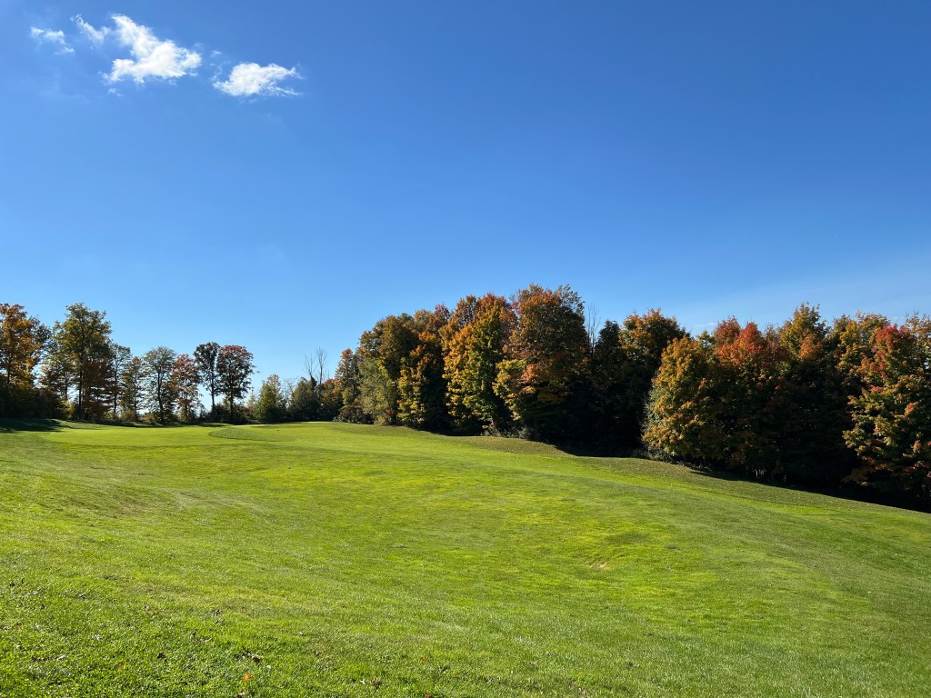 Golf course fairway with trees